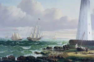 Walvisvaarders komen thuis